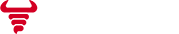 Nobull Networks LLC Logo on a dark background